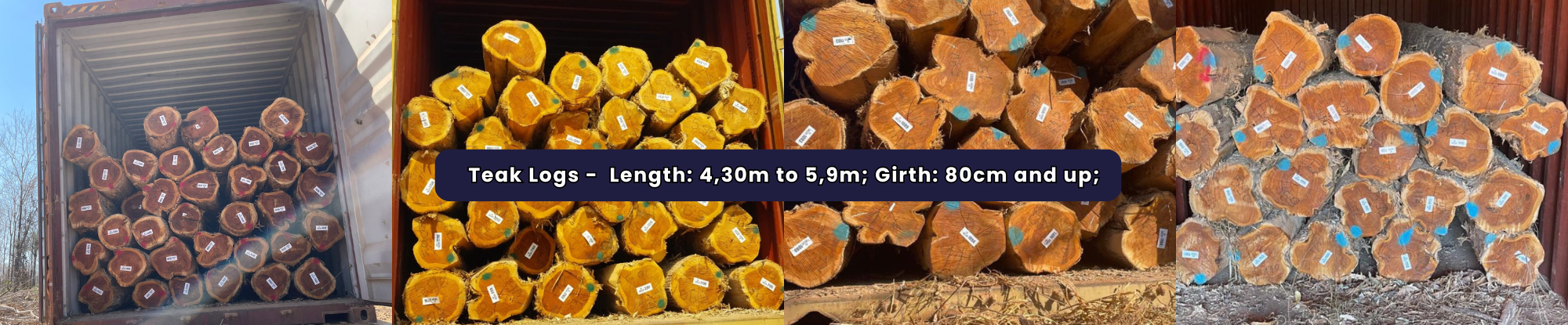 Teak logs - 22 to 24 years old