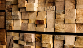 EUDR: conheça o novo sistema da WoodFlow que facilita a exportação para a UE