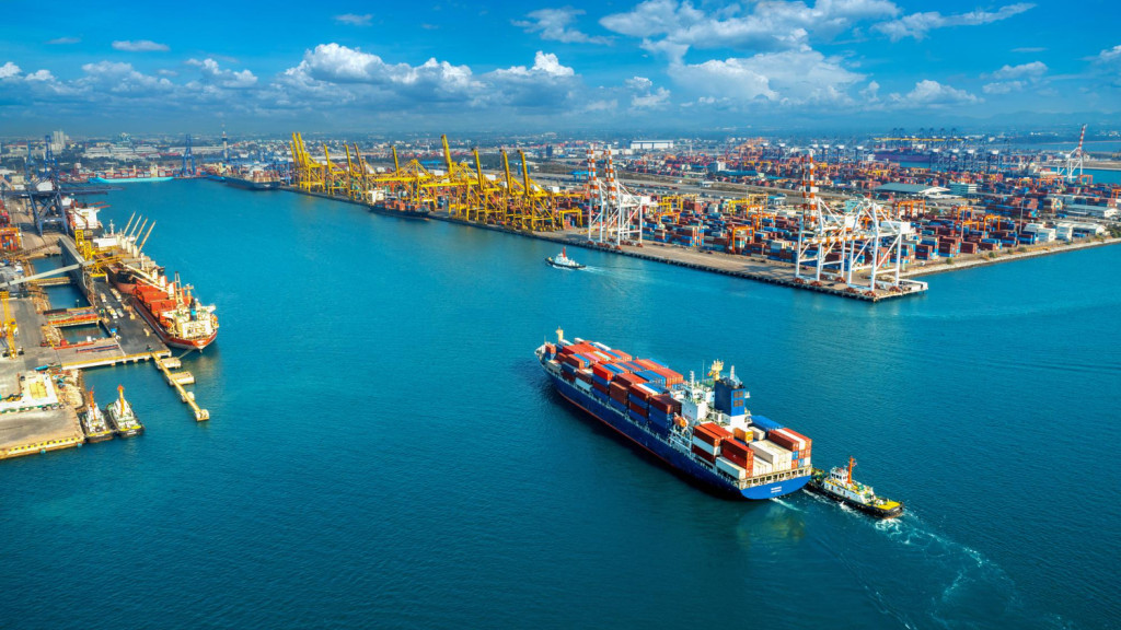 EUDR: O que fazer agora para continuar exportando.