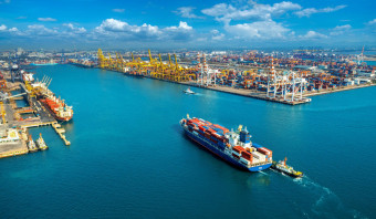 EUDR: O que fazer agora para continuar exportando.