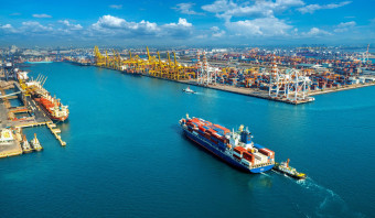Ensure EUDR compliance: WoodFlow has the solution your suppliers need