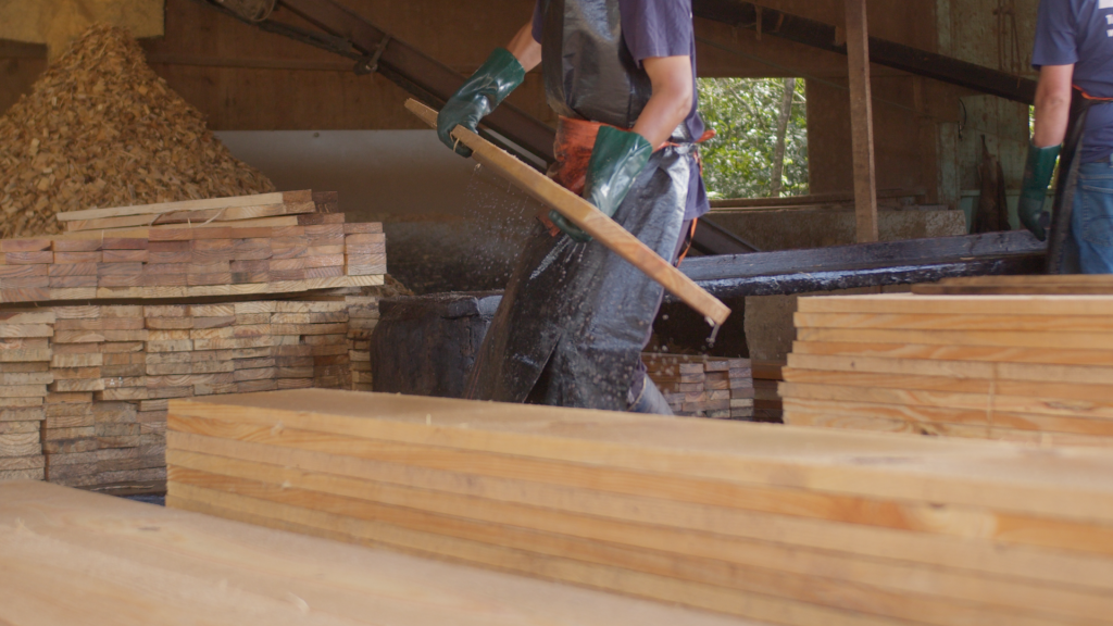 Visita às Fábricas: mostrando ao mundo a força da sua madeireira.