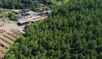 Why Brazilian Wood Suppliers Are Trusted Worldwide