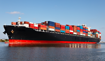 Do campo ao porto: o passo a passo de uma exportação florestal