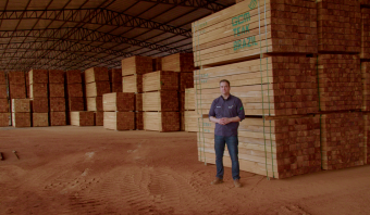 Como funciona exportar com a WoodFlow: do primeiro contato à carga embarcada