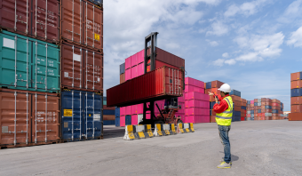 Why Choosing Brazilian Wood Suppliers is a Smart Move