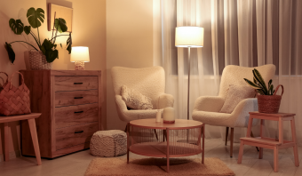 As principais madeiras utilizadas no setor moveleiro e suas características de mercado