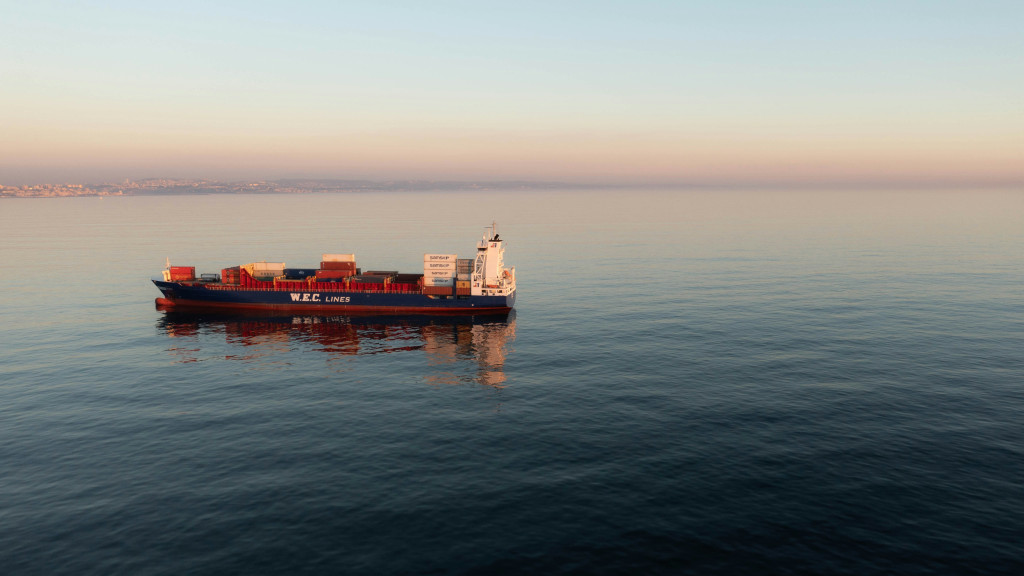 Despite stable wood exports, maritime freight faces logistical challenges.