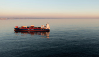 Despite stable wood exports, maritime freight faces logistical challenges.