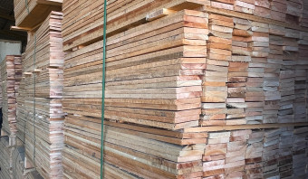 Eucalyptus Lumber