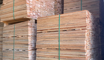 Eucalyptus Lumber