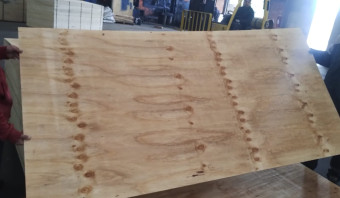 STOCK - Pine Plywood - SHOP GRADE