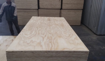 STOCK - Pine Plywood - SHOP GRADE