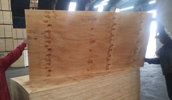STOCK - Pine Plywood - SHOP GRADE