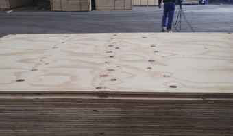 STOCK - Pine Plywood - SHOP GRADE