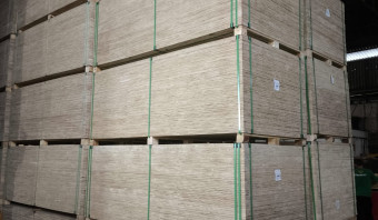 STOCK - Pine Plywood B/C