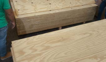 STOCK - Pine Plywood B/C