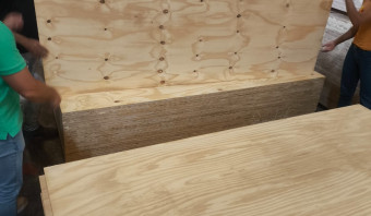 STOCK - Pine Plywood B/C
