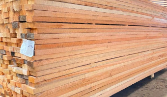 Eucalyptus Lumber