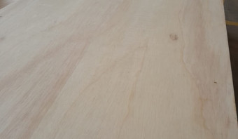 Pinho Cuiabano Plywood