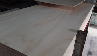 Cuiabano Pine Plywood