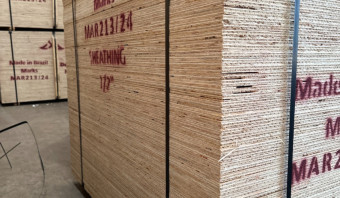 Pine Plywood CDX PS1-19