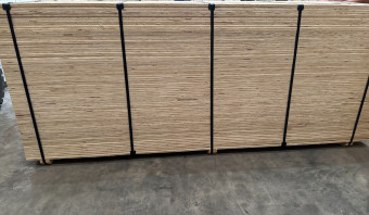 Pine Plywood CDX PS1-19