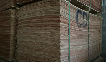 Eucalyptus Rotary Cut Veneers Grade CD