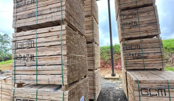 Eucalyptus Lumber - Pallet Grade