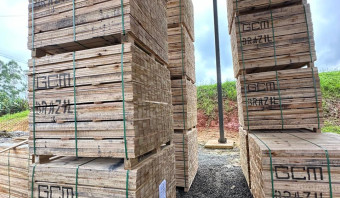 Eucalyptus Lumber - Pallet Grade