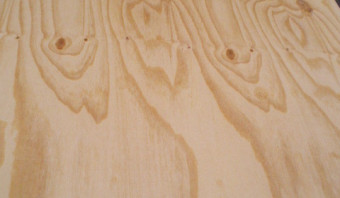 Pine Plywood C+/C