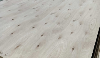 Eucalyptus Plywood - C+/C - WBP