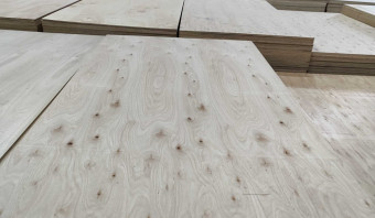 Eucalyptus Plywood - C+/C - WBP