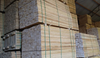 Pine Lumber KD COL