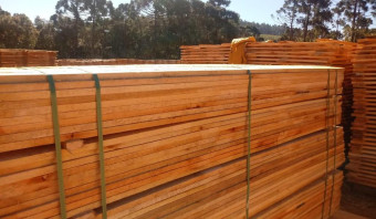 Eucalyptus Lumber AD (Air Dried) - 18%