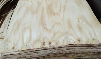 Pine Rotary Cut Veneers - Mill Run (FSC)