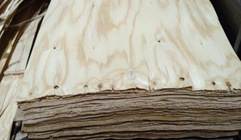 Pine Rotary Cut Veneers - Mill Run (FSC)