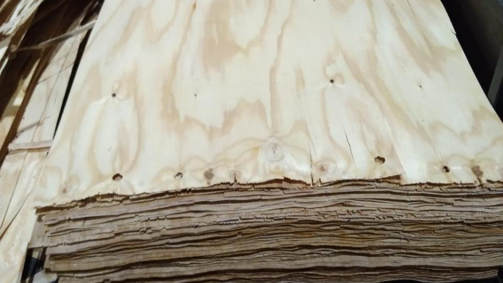 Pine Rotary Cut Veneers - Mill Run (FSC)