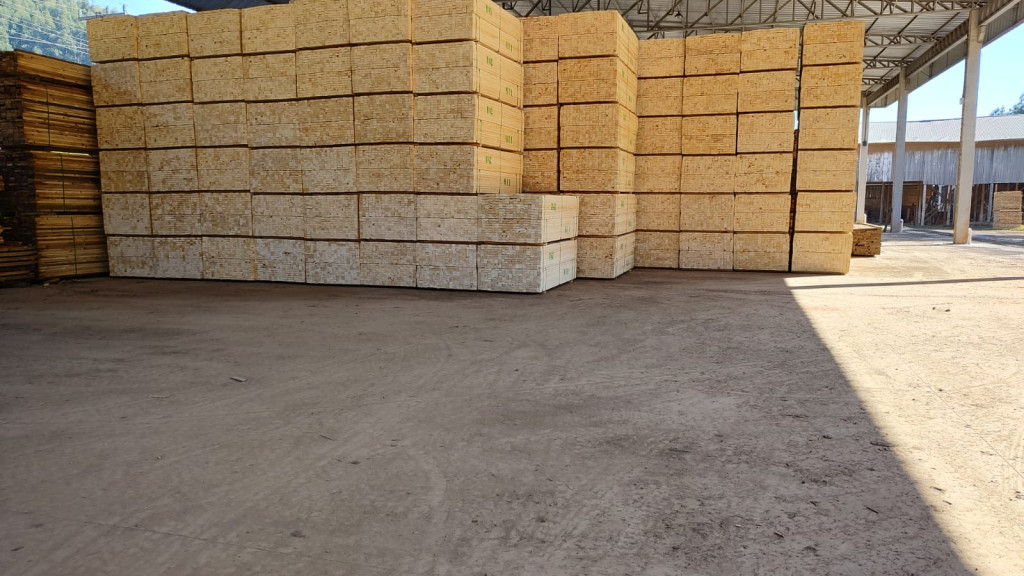 Madeira Serrada de Pinus