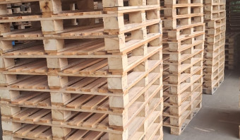 Eucalyptus Pallet (HT)